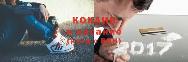 гидра Белокуриха