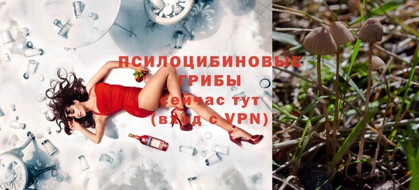 гидра Белокуриха