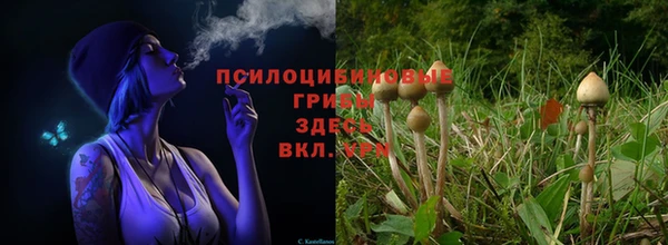 гидра Белокуриха